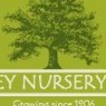 Easley Nursery Inc