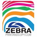 Zebra Print and Copy
