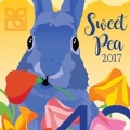 Sweet Pea Festival