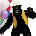 Balloon Magic-Gorilla Grams