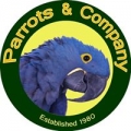 Parrots & Company