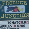 Produce Junction Inc