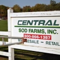 Central Sod Farms