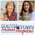 South Town Animal Hospital