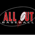 All Out Baseball