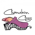 Chameleon Clogs