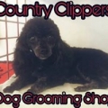 Country Clippers