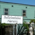 Bellefontaine Nursery