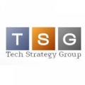 Tech Strategy Group Inc
