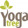 Yoga Tree Potrero Hill