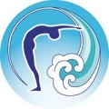 The Yoga & Movement Center
