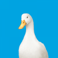 Aflac-Office of Leo Tisa
