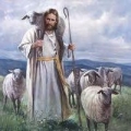 Shepherd of The Valley Lutheran Church