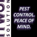 Whitworth Pest Solutions