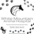 White Mountain Animal Hospital