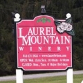 Laurel Mountain Vineyard