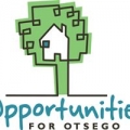 Opportunities for Otsego Inc