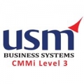 Usm Business Systems