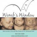 Womb's Window
