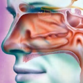 Glacier Ear Nose & Throat Head & Neck Surgery