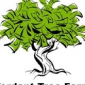 Verdant Tree Farm