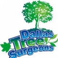 Dallas Tree Surgeons Inc