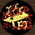 The Fretted Frog