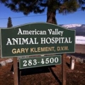 American Valley Animal Hospital