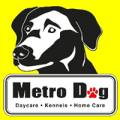 Metro Dog