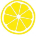 Lemonhead Salon LLC
