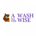 A Wash to The Wise