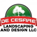 De Cesare & Sons Inc