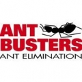 Antbusters