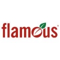 Flamous Brands Inc