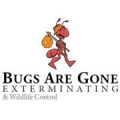 Bugs Are Gone
