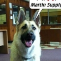 Martin Supply Co Inc