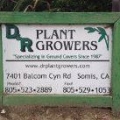 D & R Plant Growers