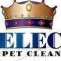 Select Carpet Cleaning