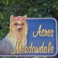 Acres Meadowdale Animal Inn
