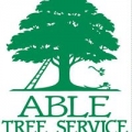 Evans Tree Service & Stump Removal