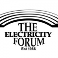 The Electricity Forum Inc