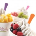 Fresh Berry Frozen Yogurt Cafe