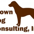 Brown Dog Consultng