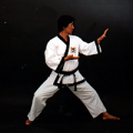 H K Lee Taekwondo