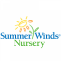 Summer Winds Nursery