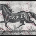 Town of Pacolet