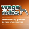 Wags To Riches