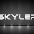 Skylertek Inc