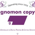 Gnomon Copy
