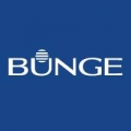 Bunge Limited Development